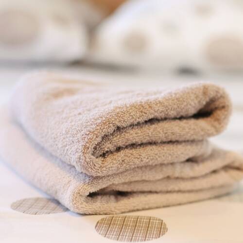 Bali Catsmart Le Petite Prince