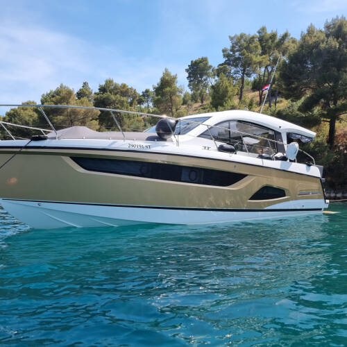 Sealine C390 Tireless